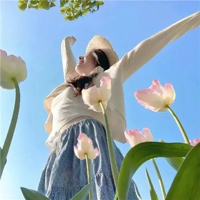 下饭神器《搞笑一家人 / 无法阻挡的HighKick》超清：经典情景喜剧无法超越的巅峰之作